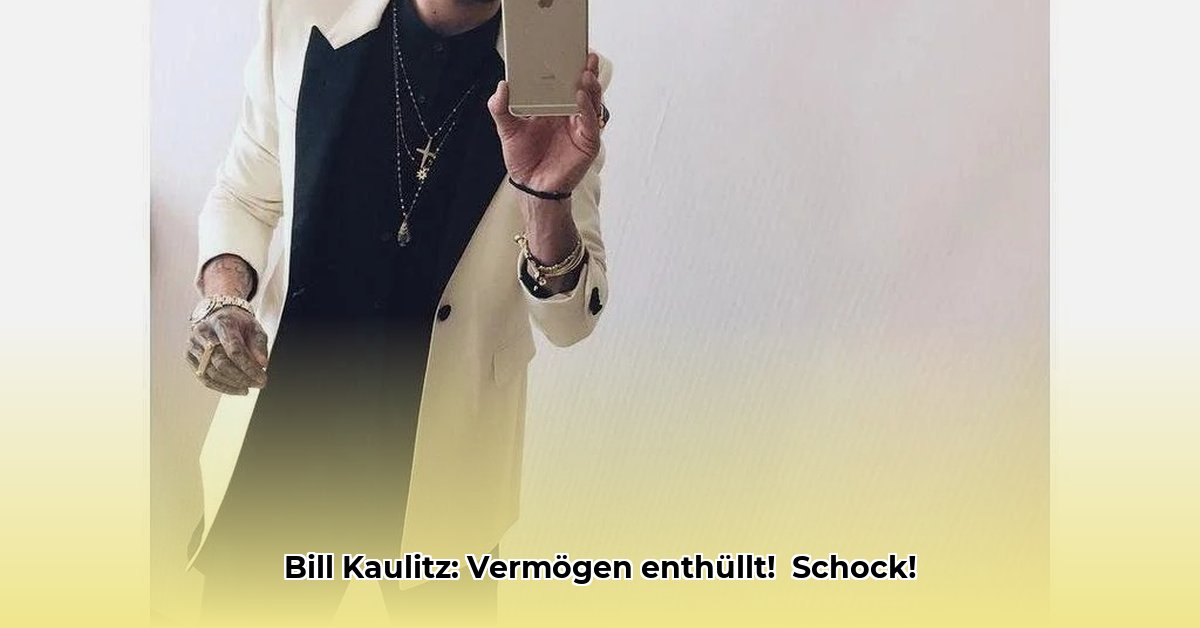 wie-reich-ist-bill-kaulitz